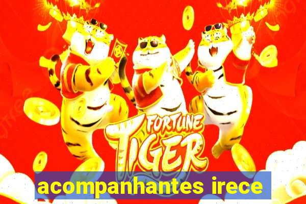 acompanhantes irece